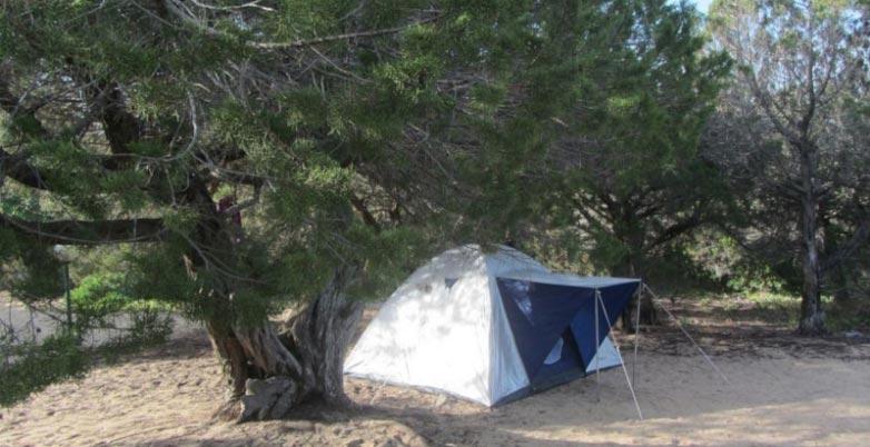 camping-baiaparadiso en campsite 016